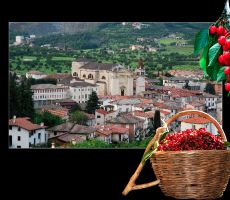 montecchia-ed-i-suoi-frutti