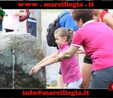 marciliegia-2015-117-copia